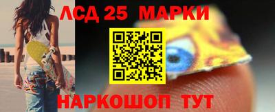 гидропоника Пугачёв