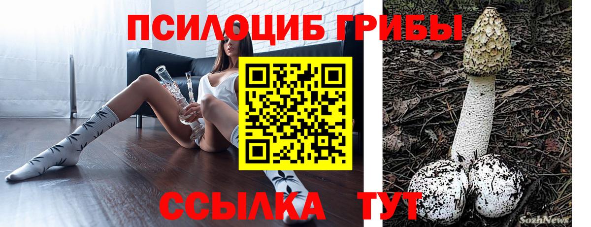 Галлюциногенные грибы мицелий Пенза