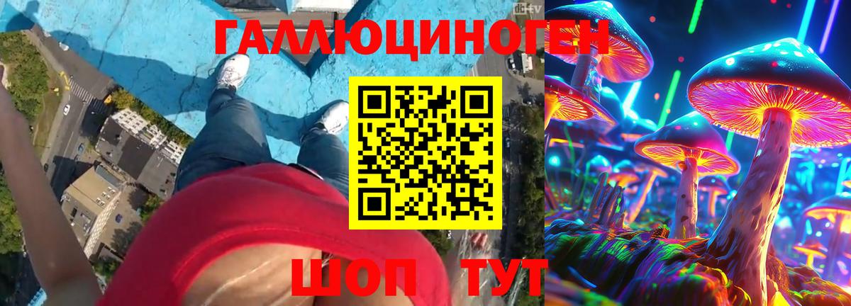 Псилоцибиновые грибы Psilocybe  Псилоцибиновые грибы GOLDEN TEACHER  Вход с VPN  Пенза 